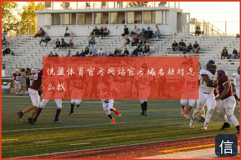 悦盈体育官方网站官方域名核对怎么找