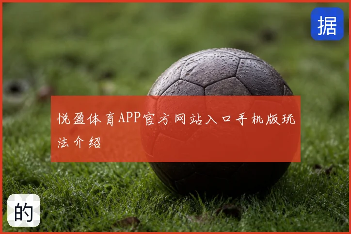 悦盈体育APP官方网站入口手机版玩法介绍
